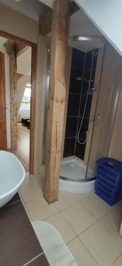 Apartament Gliwice Centrum 외부 사진